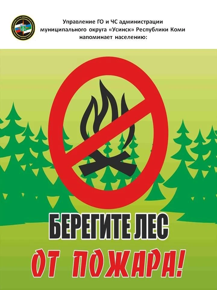 Берегите лес от пожара!