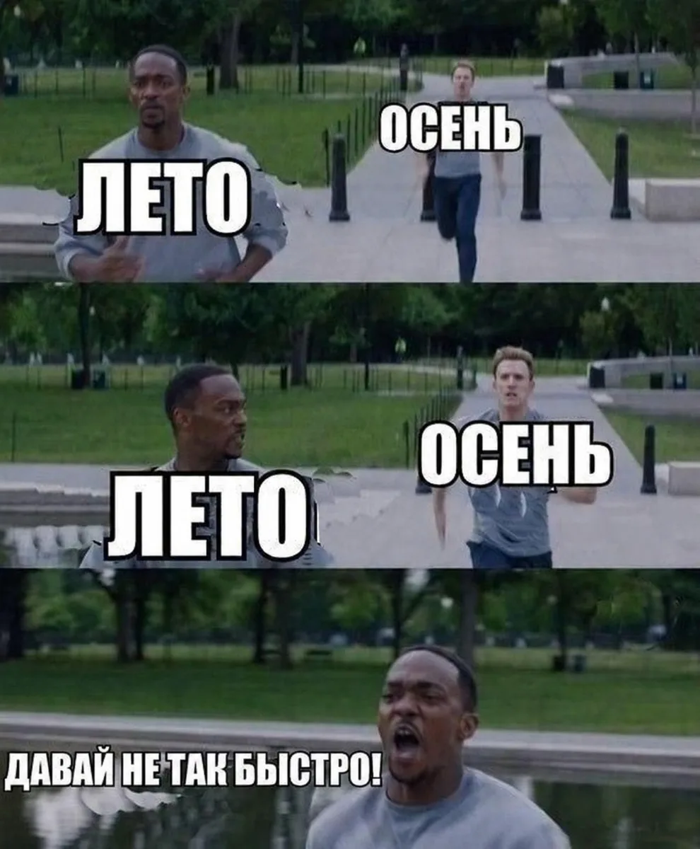 Осень уже догнала, но лето на Ямале не сдается 😎