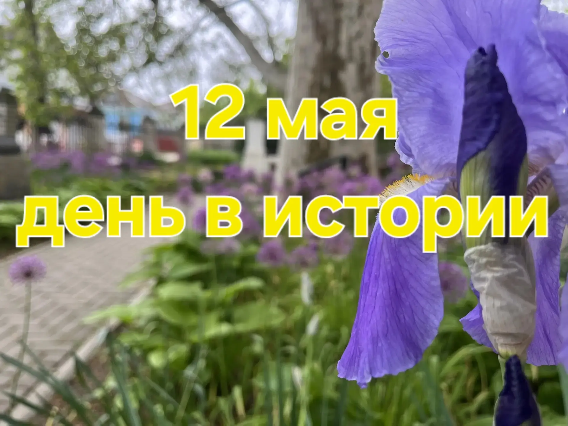 А знаете ли вы, что ❓