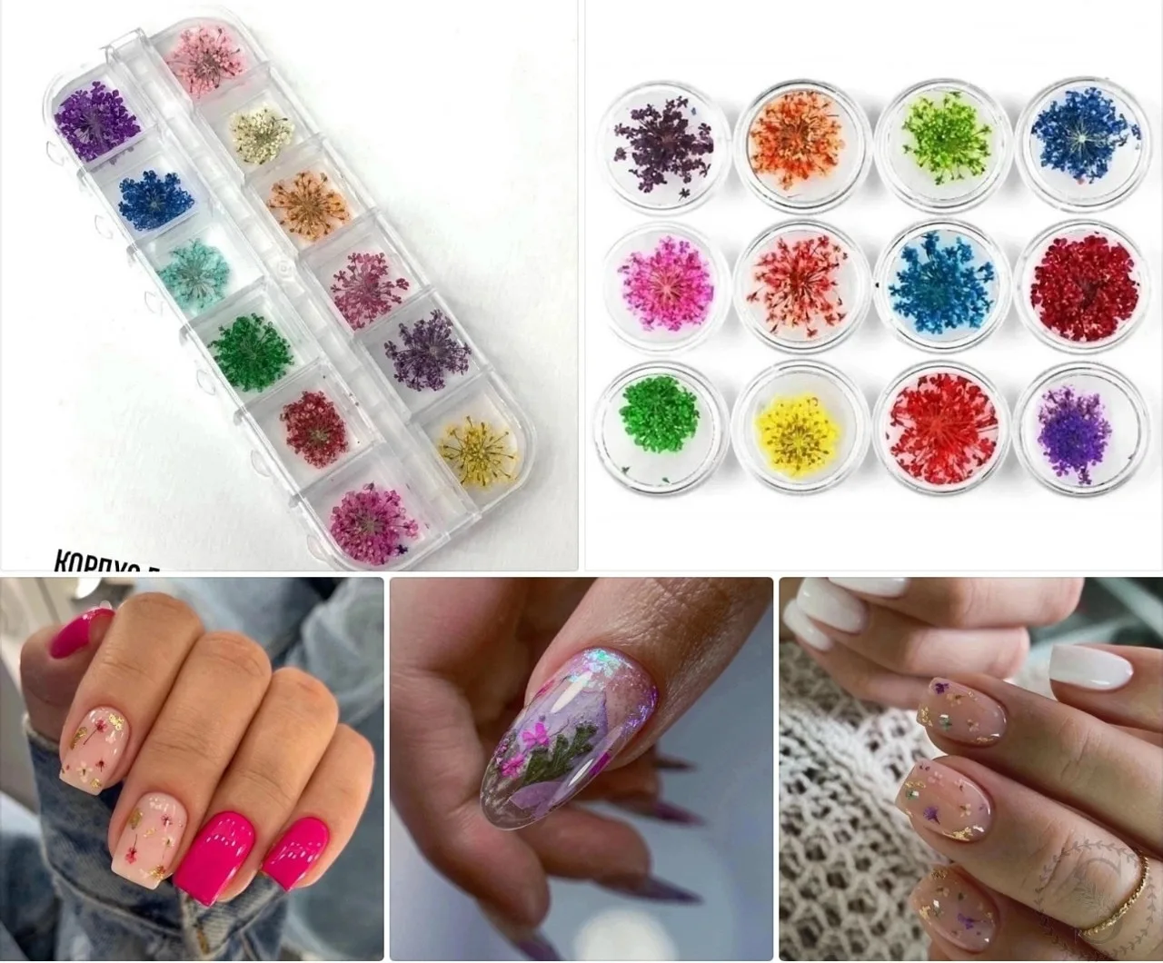 https://vk.com/photo-184814919_493529486