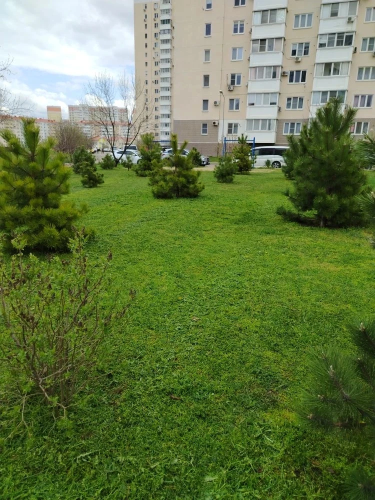 Уважаемые собственники МКД по адресу: шоссе Супсехское !  Рады сообщить, что на территории наших дом