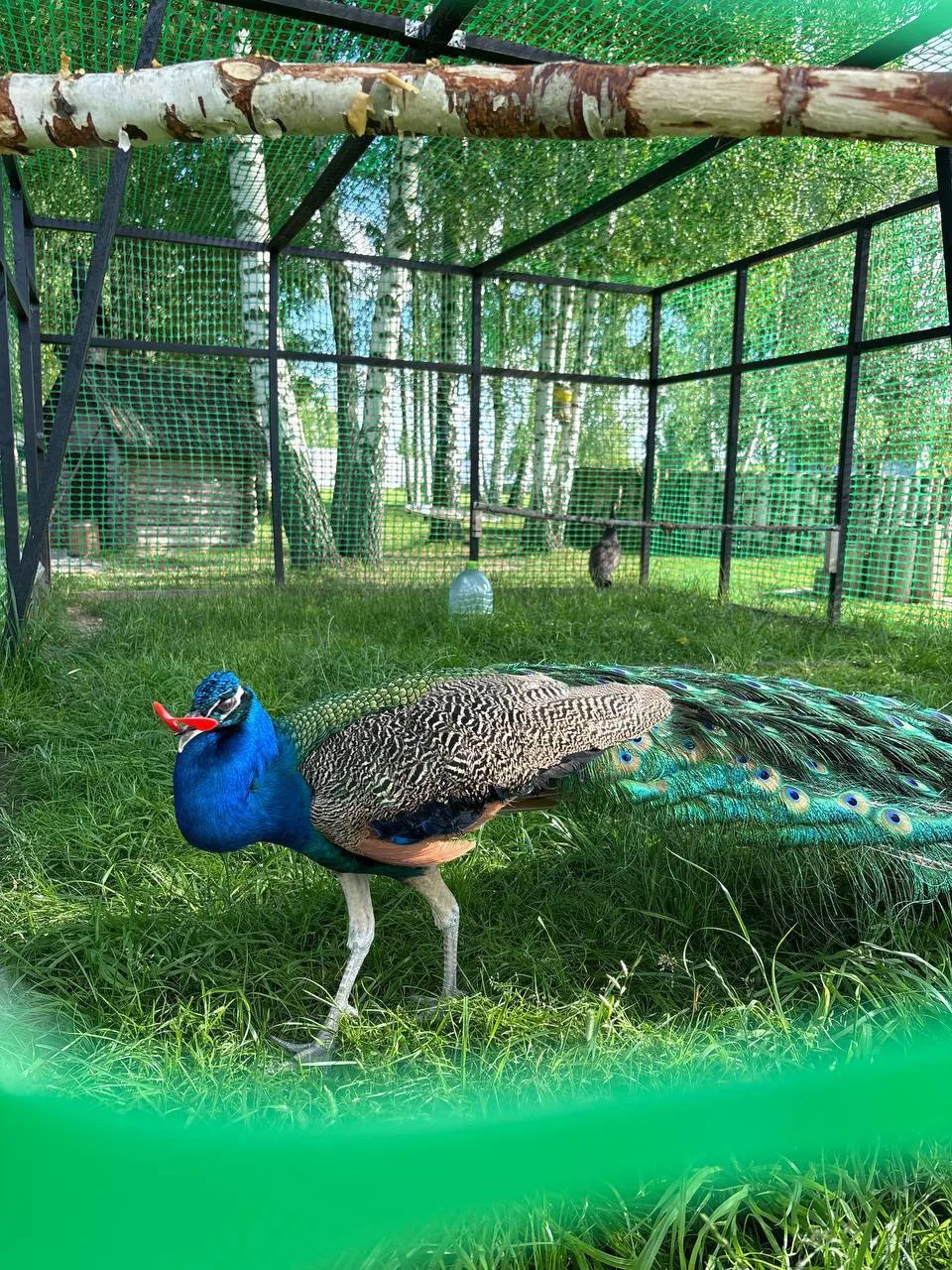 11-12 июля уютно отдыхаем в ЦЫПАрке 🔥💛