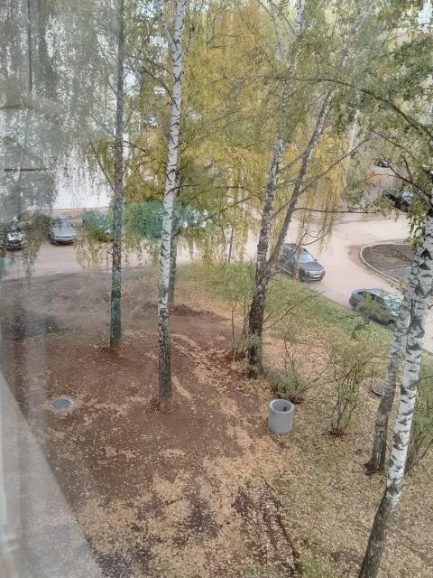 - На придомовом газоне по адресу г. Елабуга пр-кт Мира д. 16 после установки новых коло...