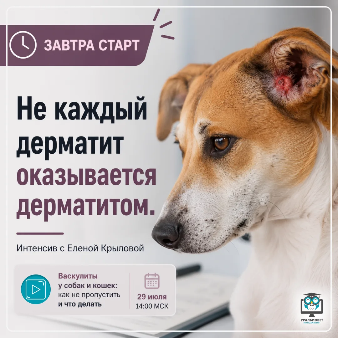 🙌 Есть лекторы, после бесплатной лекции которых хочется смотреть всё остальное.
👀 Если Вы уже смот