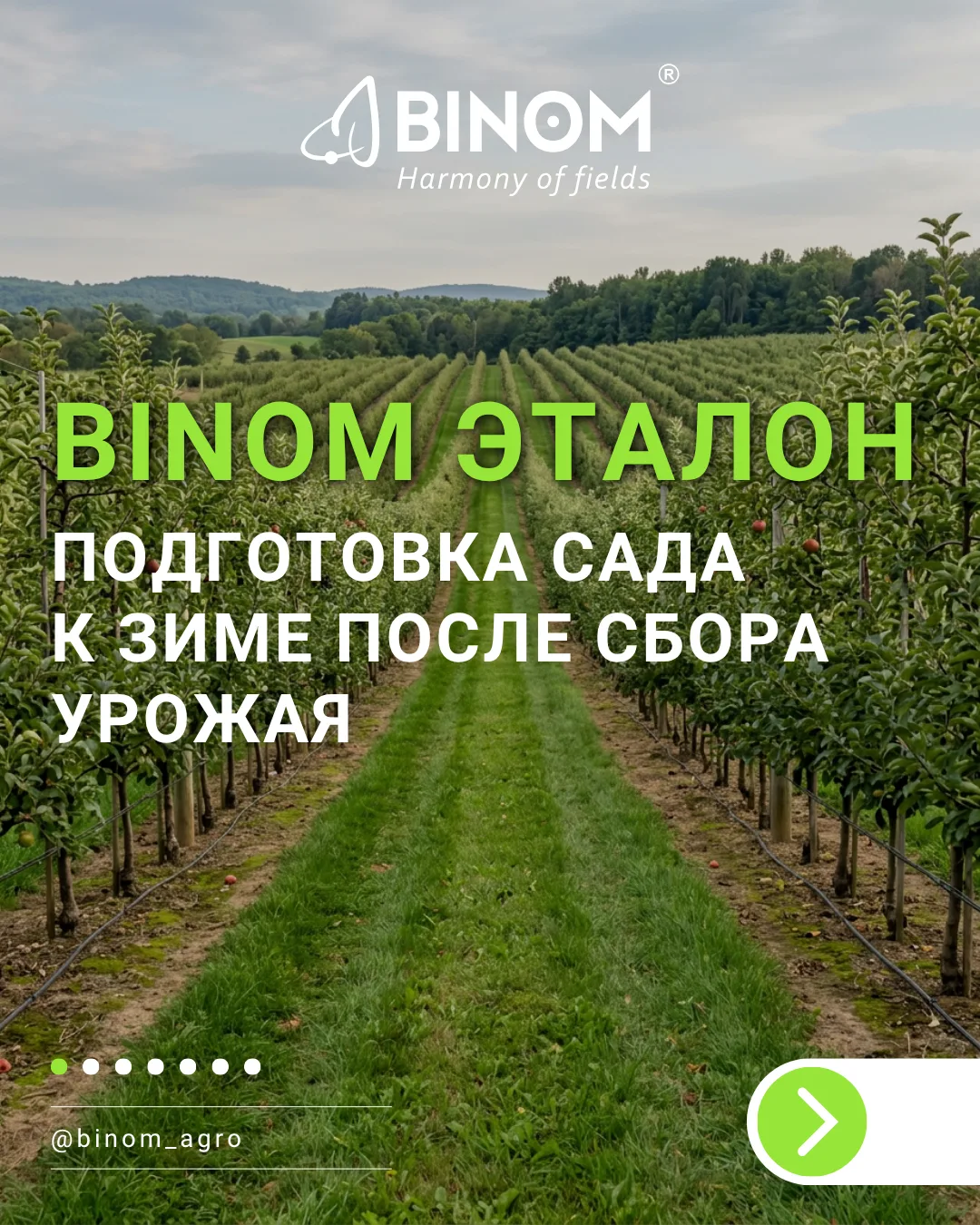 ОБРАБОТКА САДА ПОСЛЕ УБОРКИ