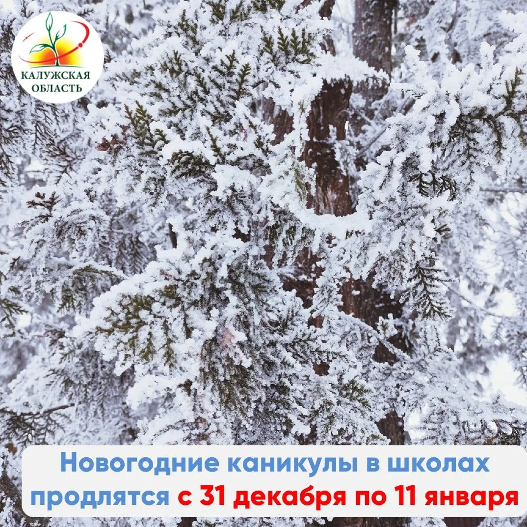 НОВОГОДНИЕ КАНИКУЛЫ ⁣ Отвечаем на главный вопрос родителей и школьников. ⁣ Согласно пункту 3.4.16 са
