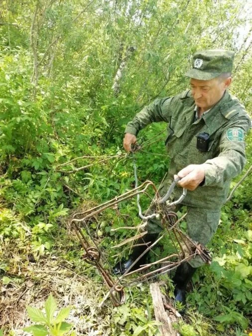 🦌На Кузбасе во время рейда обнаружили несколько капканов, установленных предположительно на крупных