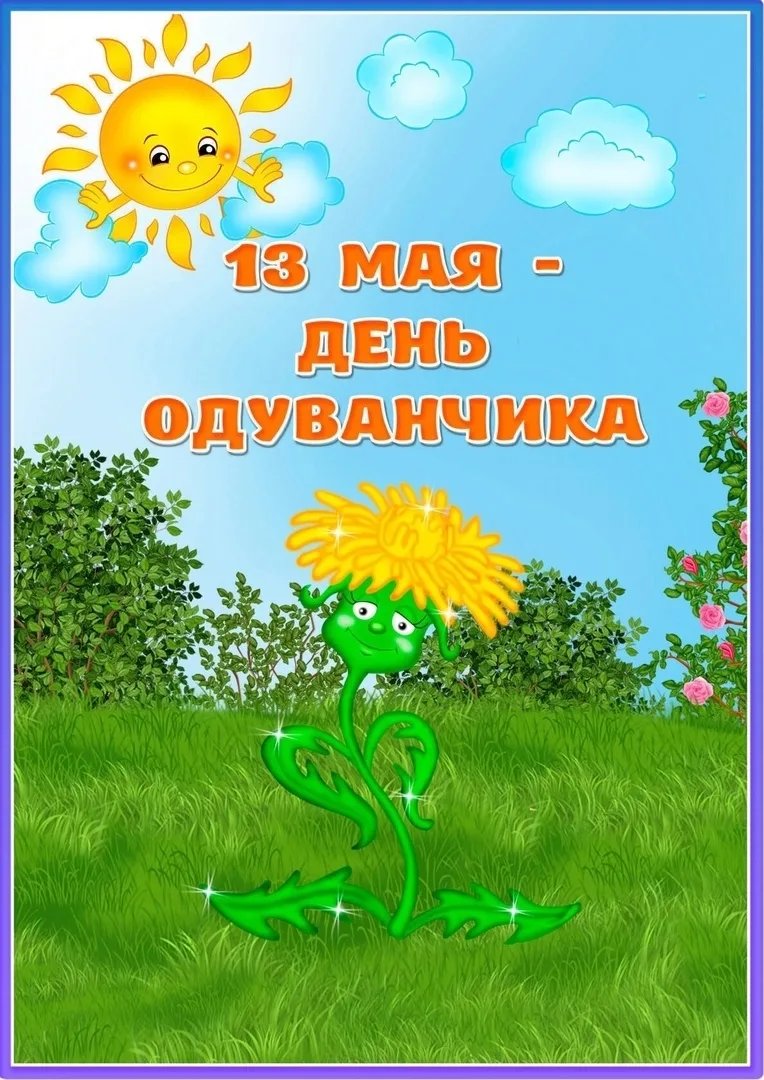 13 мая - день одуванчика