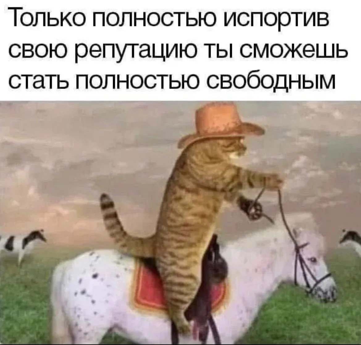 Когда все равно на чужое мнение🙂‍↕️