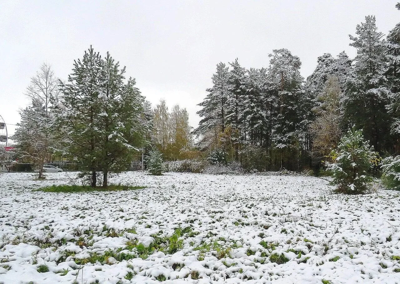 Город припорошило ❄ ❄ ❄