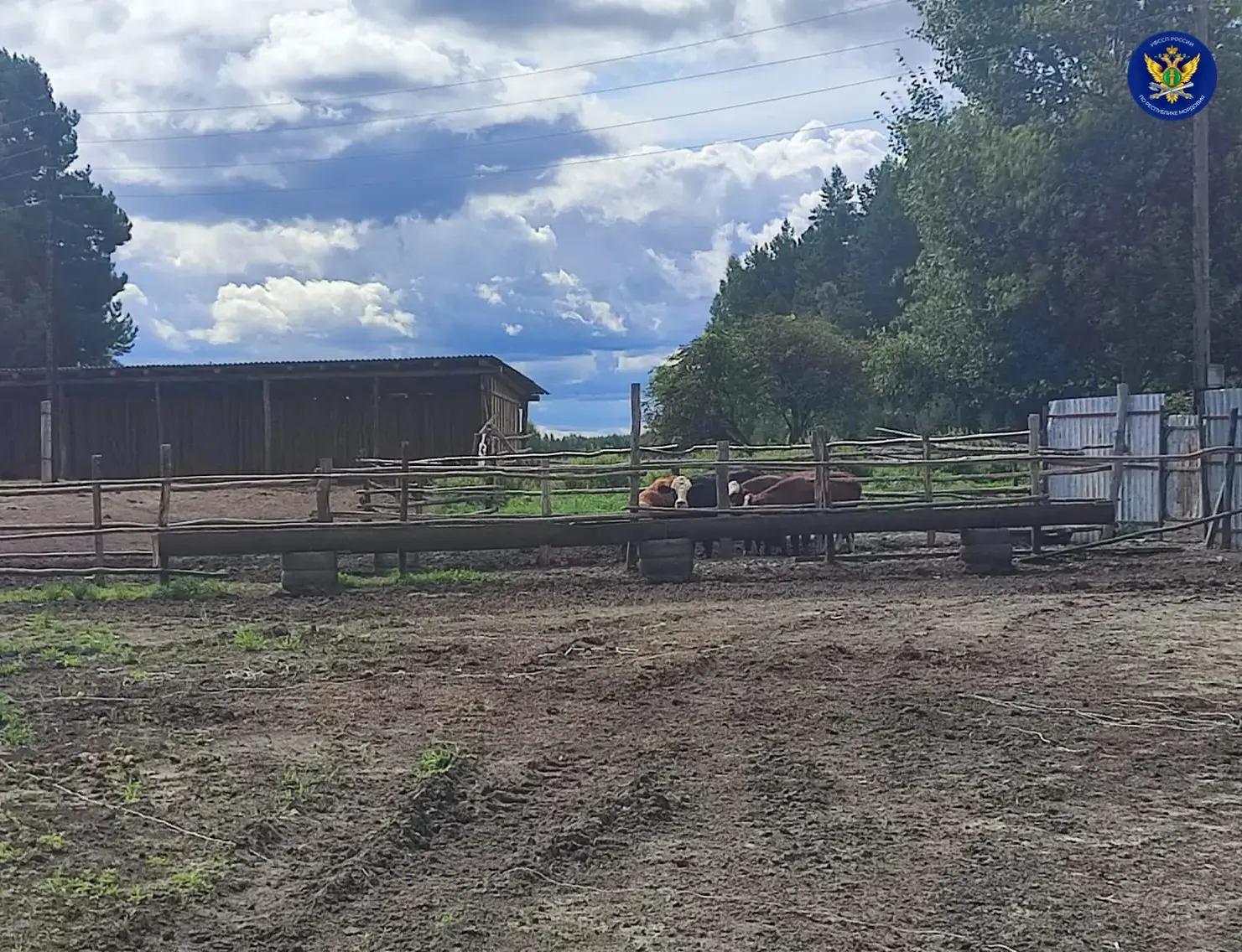 🐮 Судебные приставы Теньгушевского района добиваются полного исполнения судебного реше...