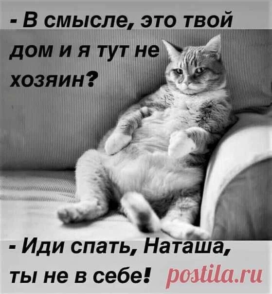 Юмор | Приколы | Мемы 👇🏻