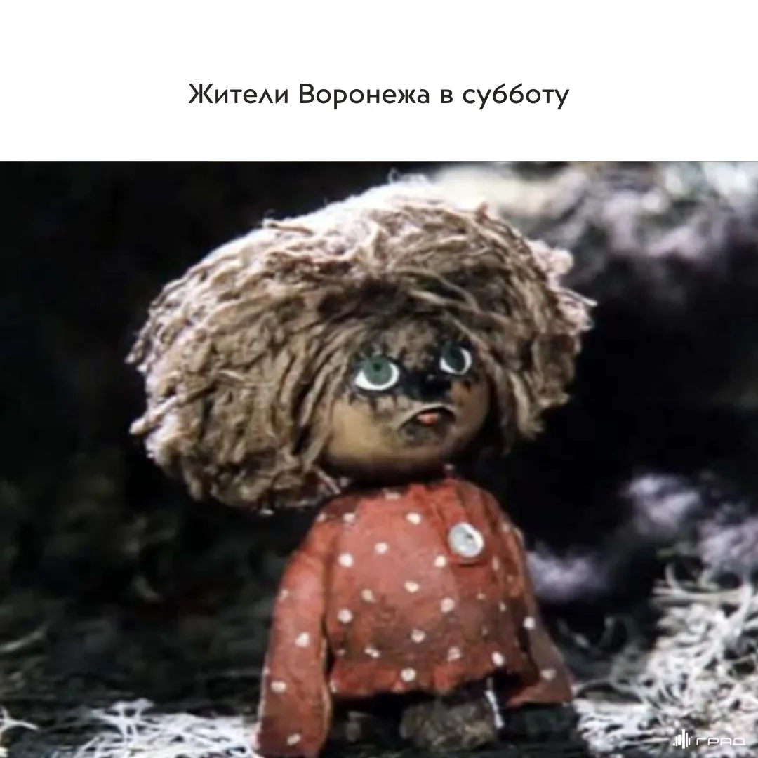 Локальная шутка, которую поймут только воронежцы 😅⠀

Друзья, в эти выходные Сити-парк «Град» работа
