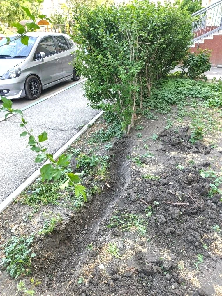 К новости «🌿 Зеленый оазис у дома: монтируем систему автополива!»