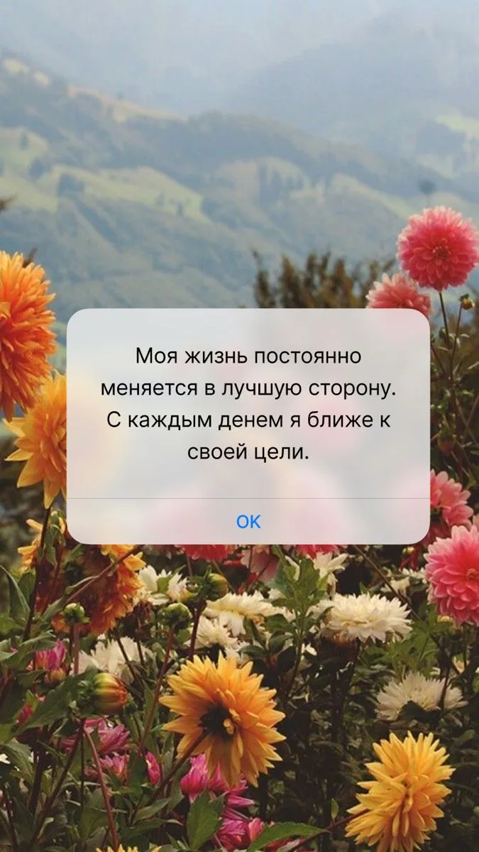 Аффирмация дня