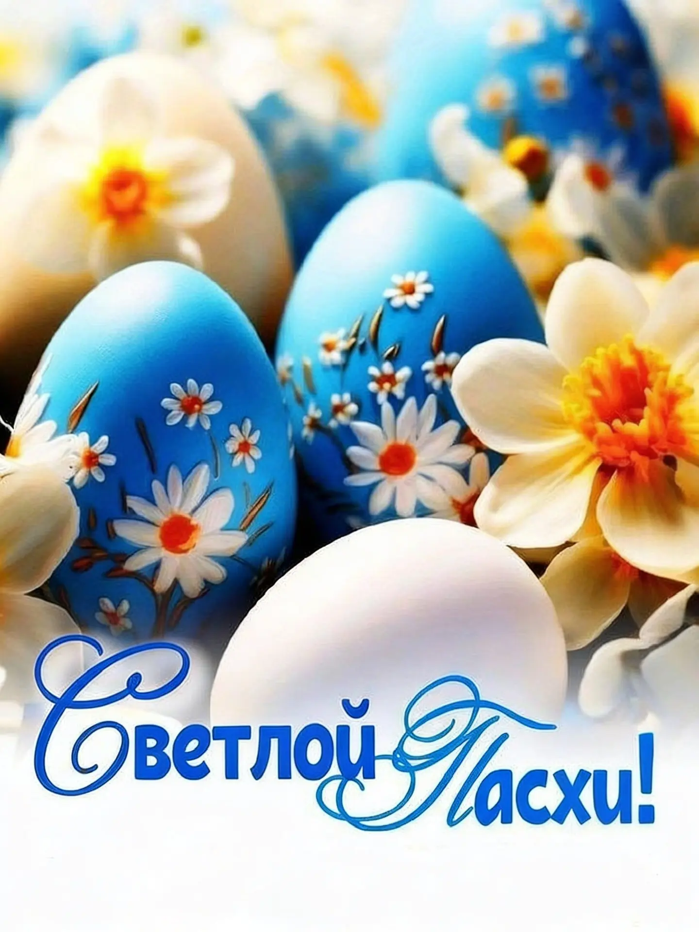 Поздравляем вас со светлым праздником Пасхи 🐣
