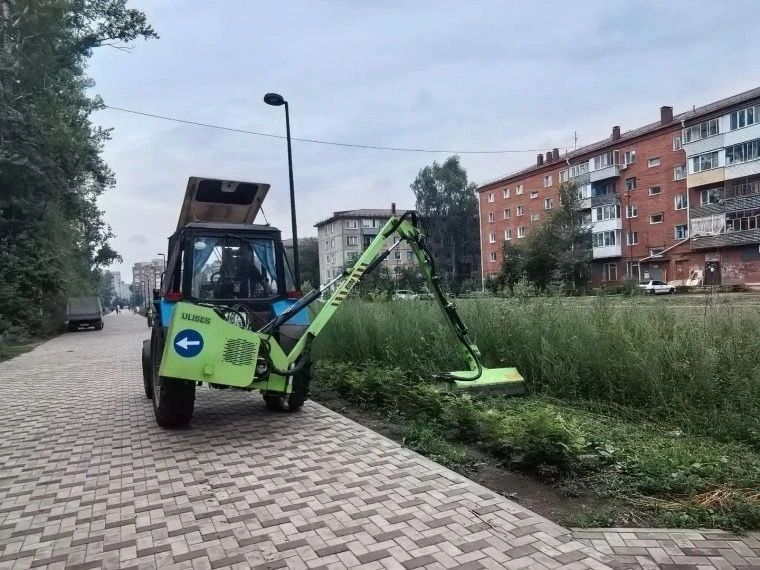 🌱 Школьники помогли привести в порядок кустарники на пешеходной аллее в Нефтяниках