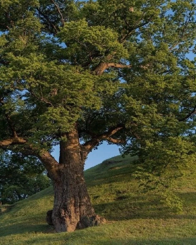 🌙 Что сегодня было достаточно хорошим?