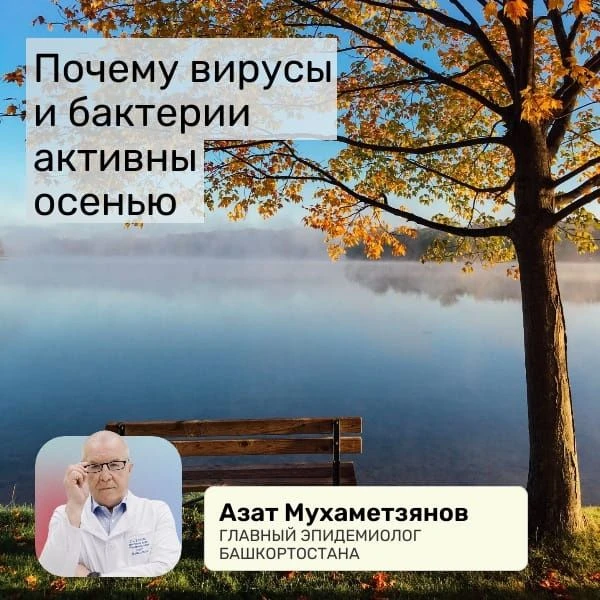 Доброе утро, дорогие друзья!