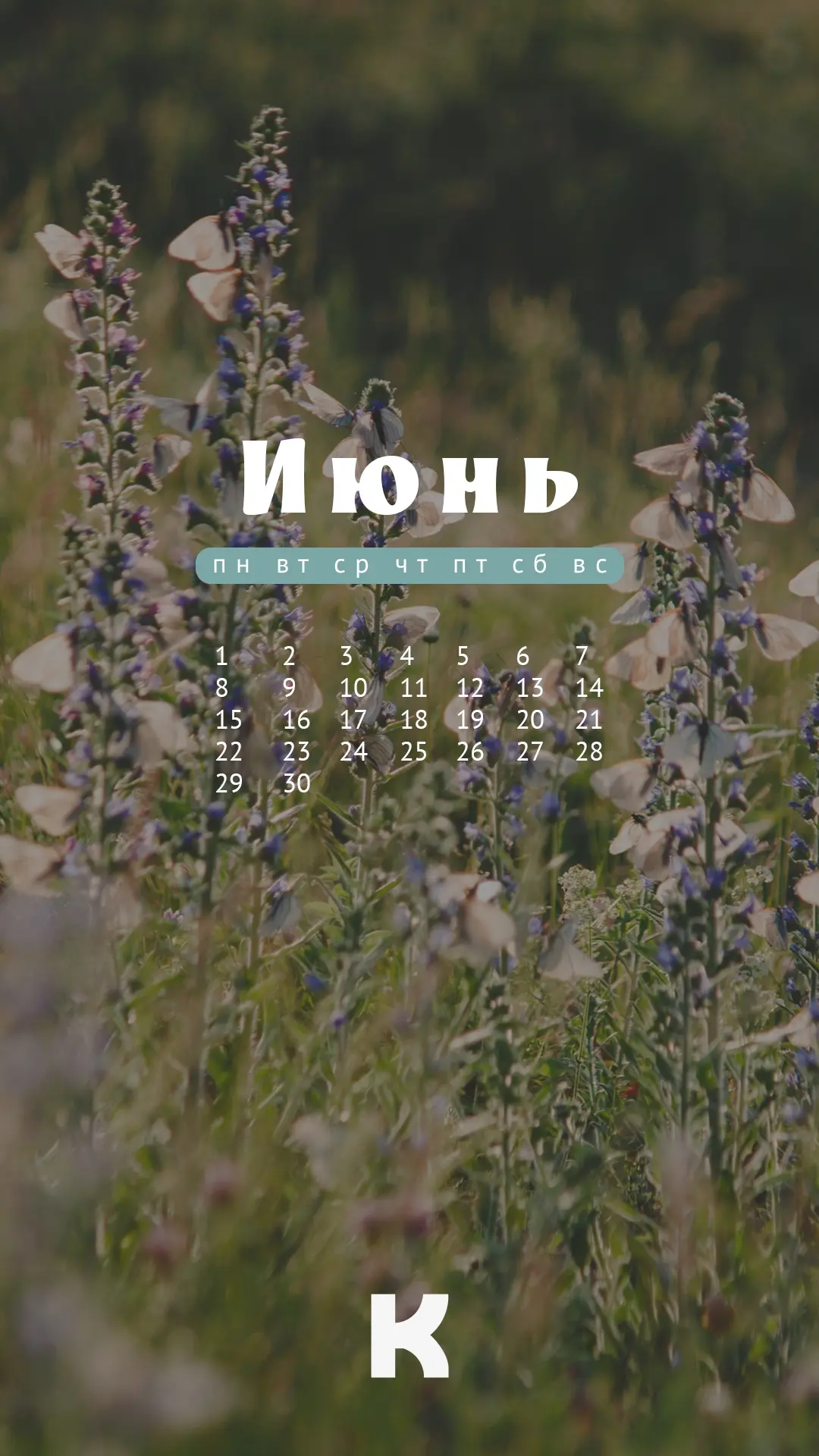 В первый день нового месяца традиционно делимся свежей подборкой календариков-заставок для ваших сма