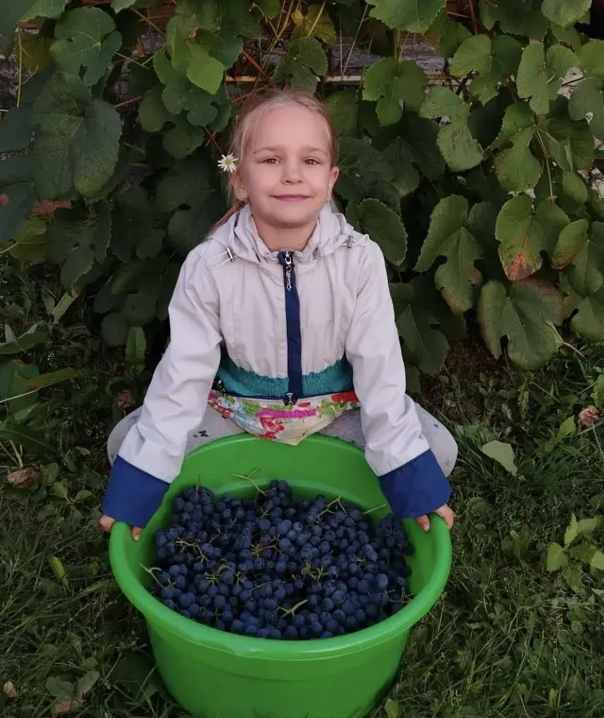 #мадоу238кемерово