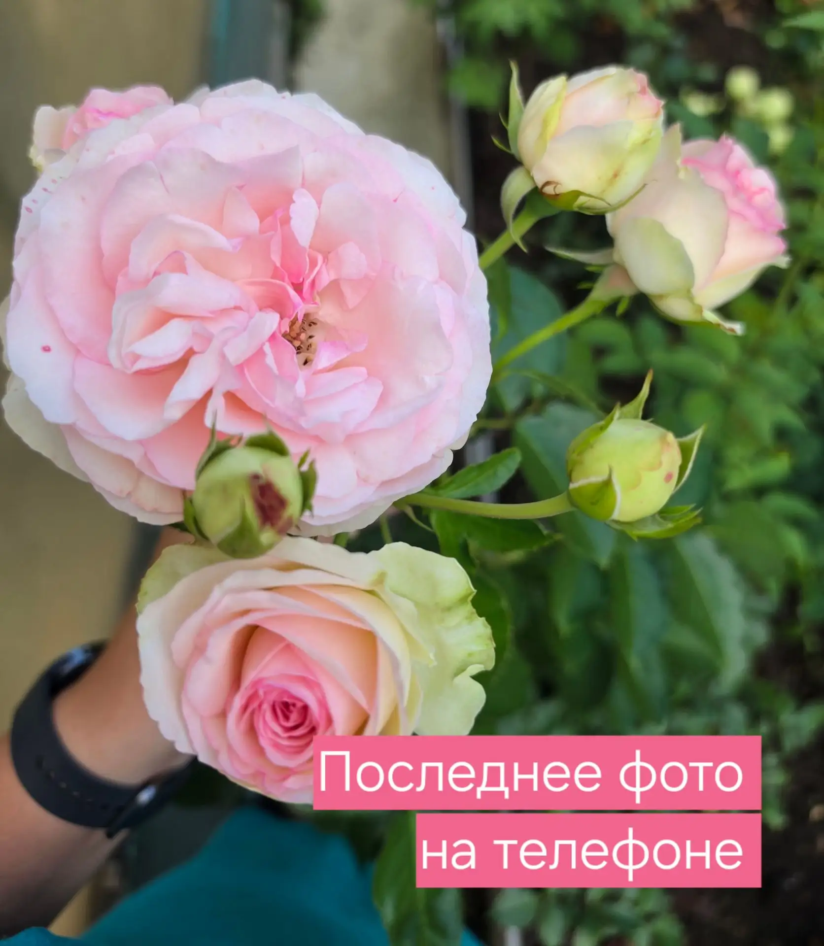 📸 Любимая рубрика выходного дня «Последнее фото на телефоне».  Делитесь с нами вашими ...