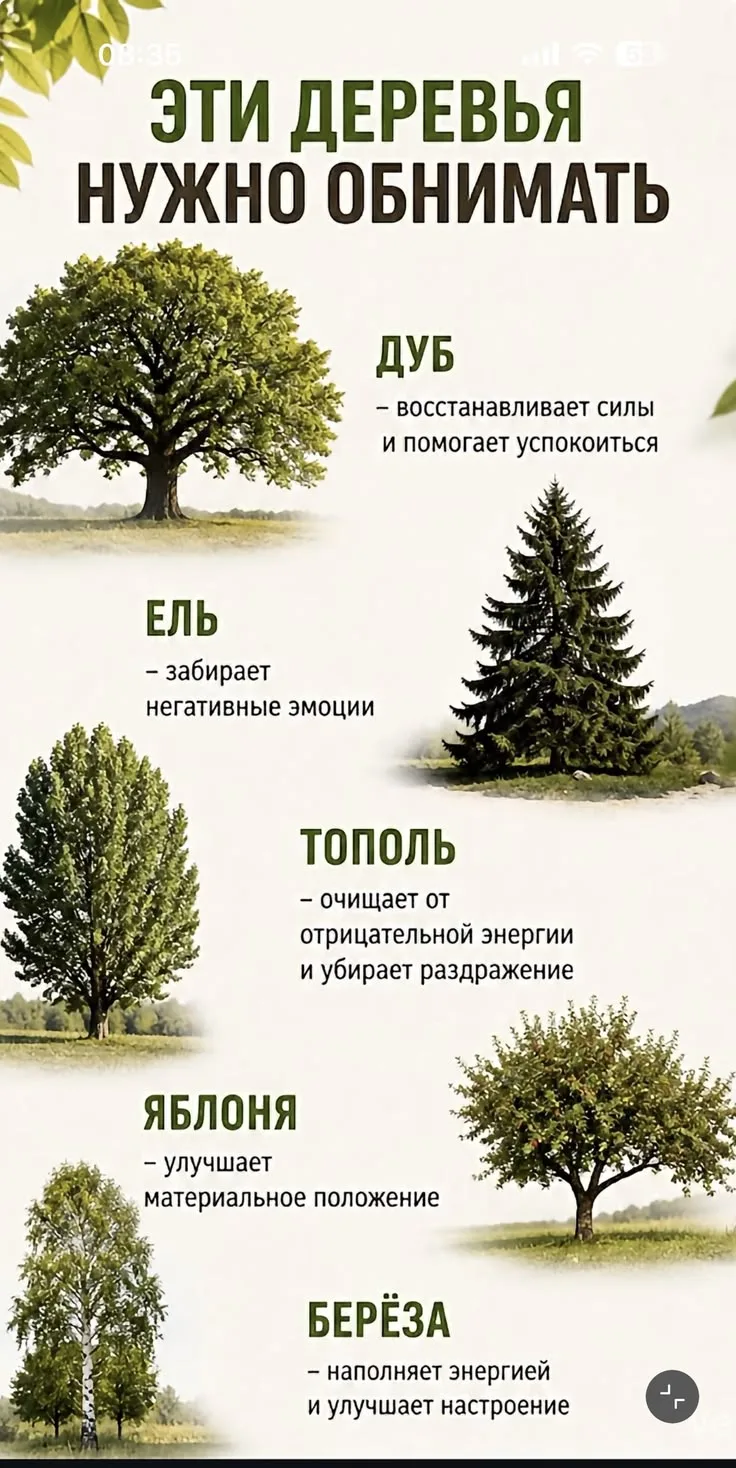 Подписаться