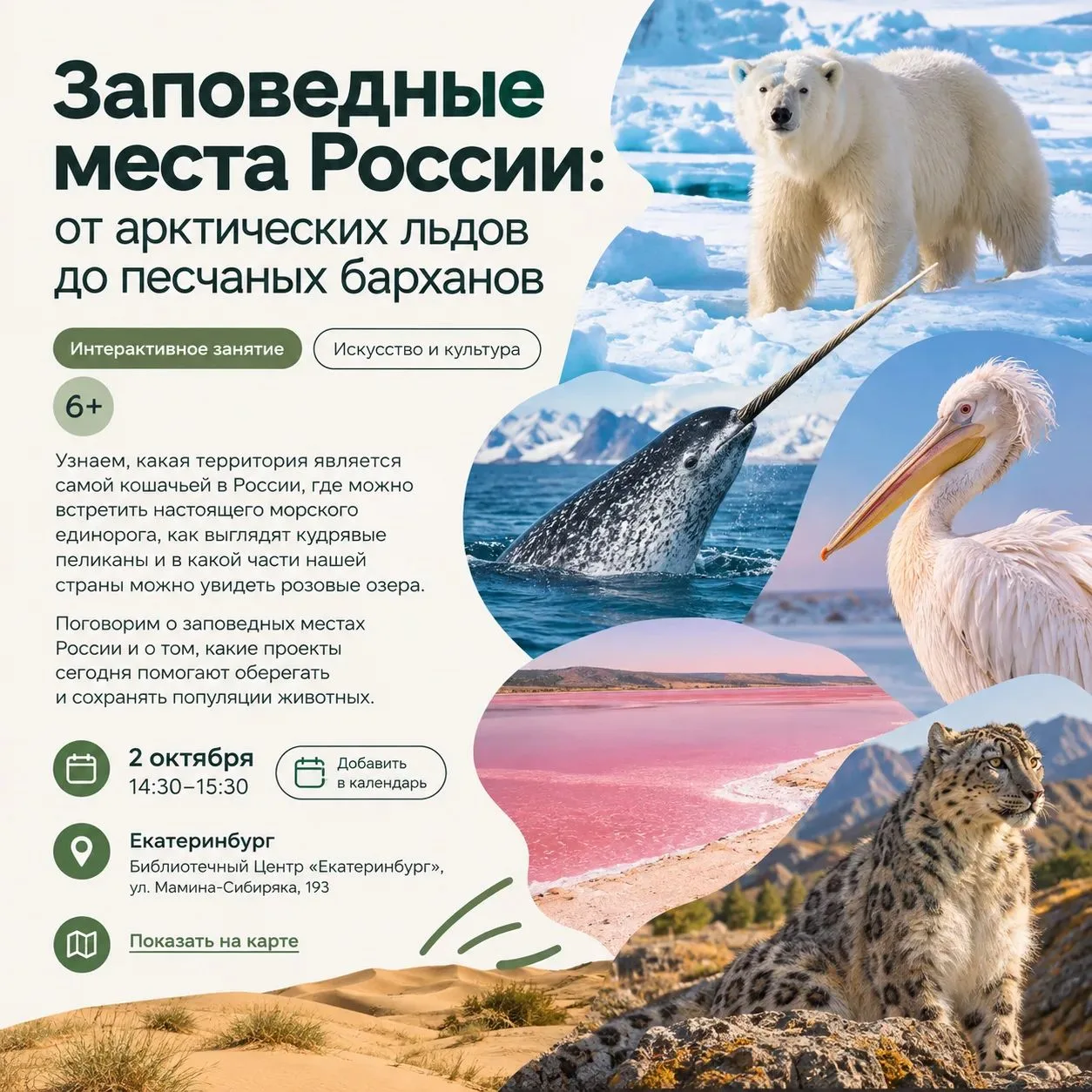 🌿 Заповедные места России: от арктических льдов до песчаных барханов