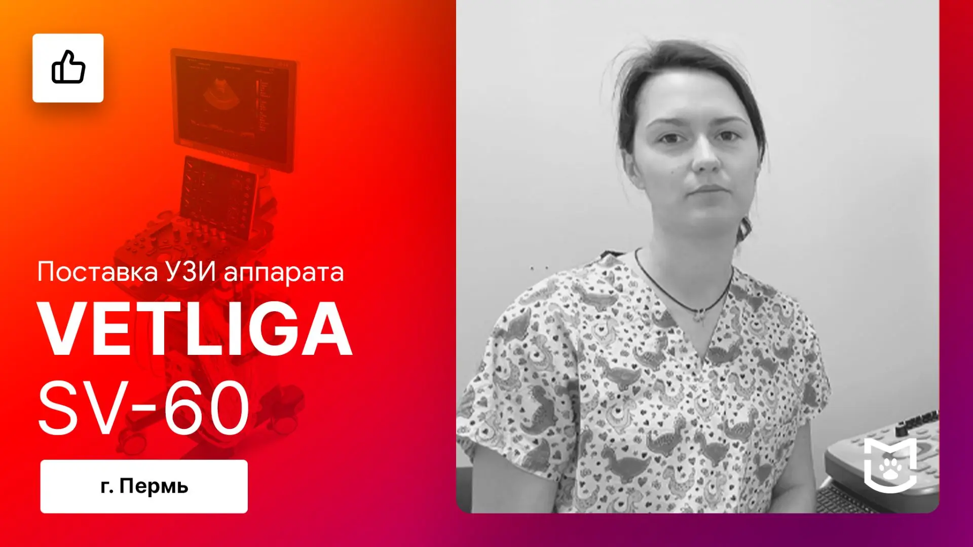 📢 Отзыв на поставку ветеринарного УЗИ аппарата VETLIGA SV-60 (г. Пермь)