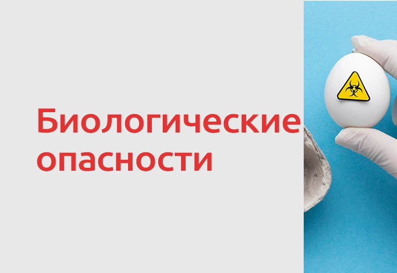 🦠 Бактерии, вирусы, плесени и паразиты остаются одними из главных биологических опасны...