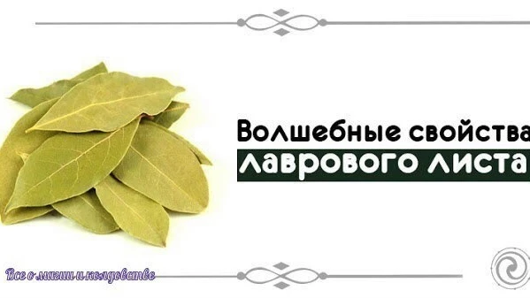 Волшебные свойства лаврового листа*

Напишите желание на лавровом листе, потом киньте его в огонь – 