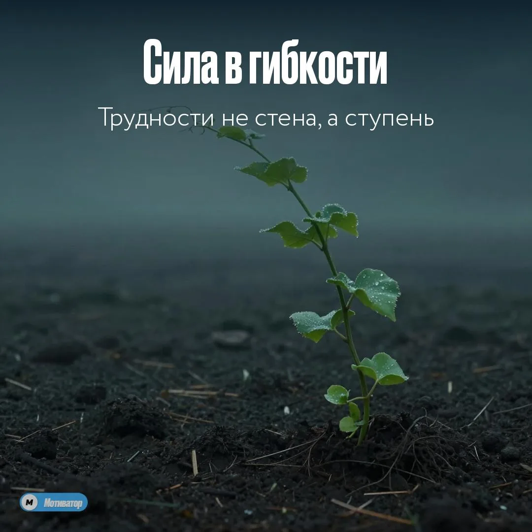 Трудности не проверяют тебя на прочность — они показывают, куда расти.