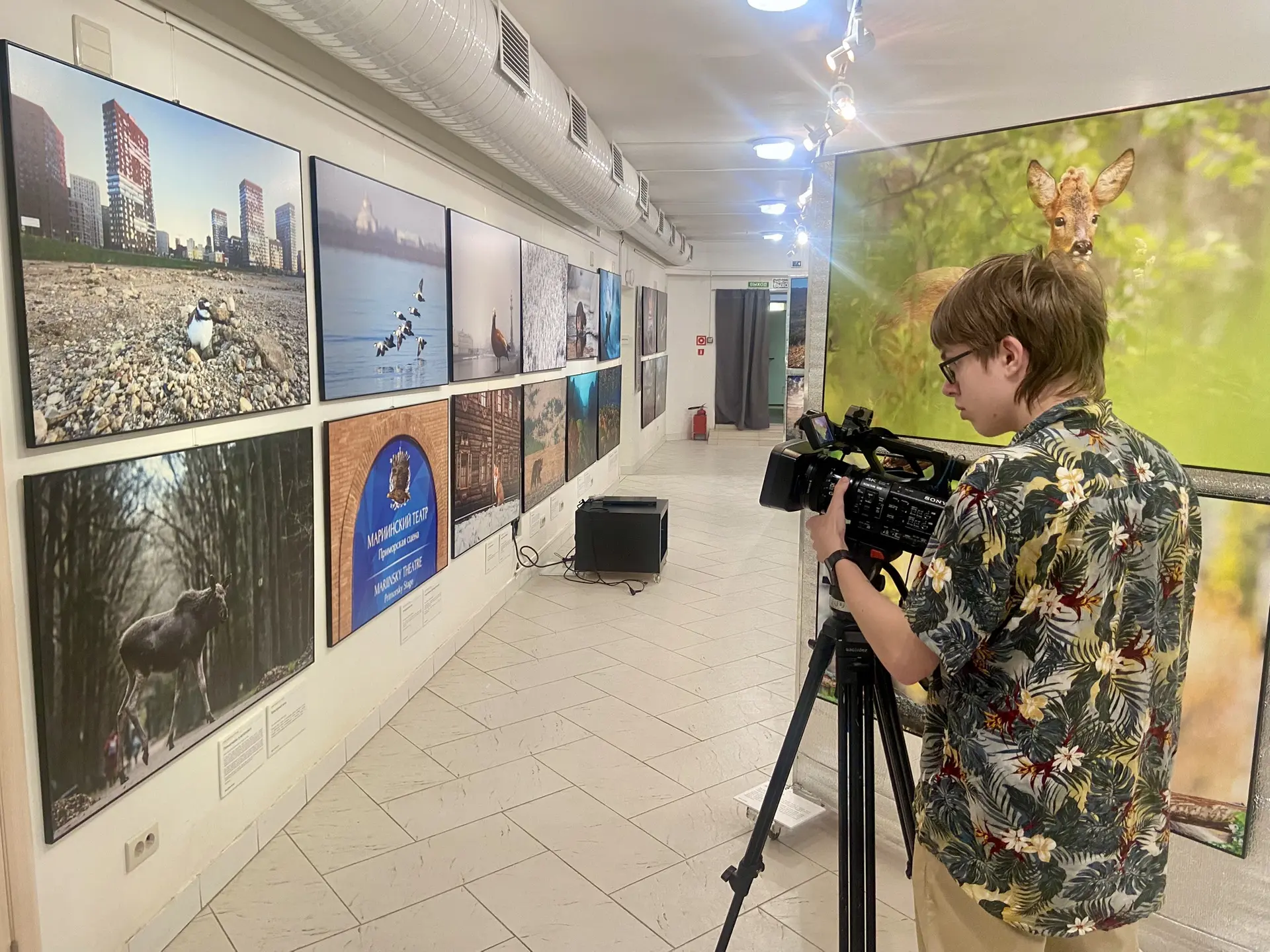 📸 В Кирове открылась выставка «Первозданная Россия». О том, каких обителей страны можн...