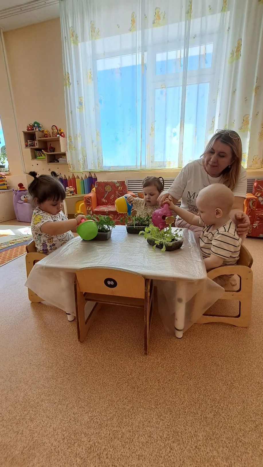 🍅 Посадили огород,