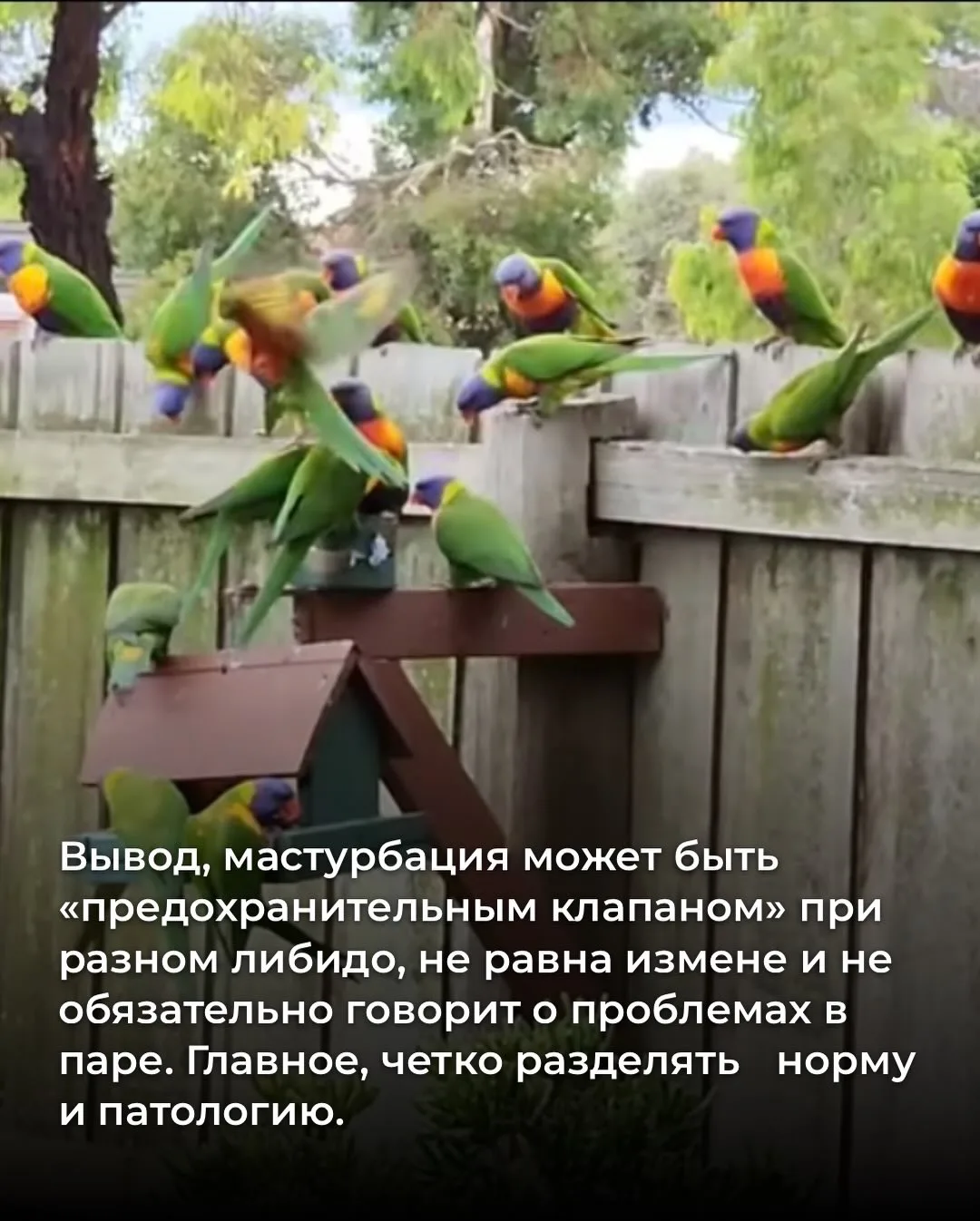 Я @doctor_sadovskaya врач с практикой от Катманду до Хайфы, дважды мать с помощью суррогатного матер