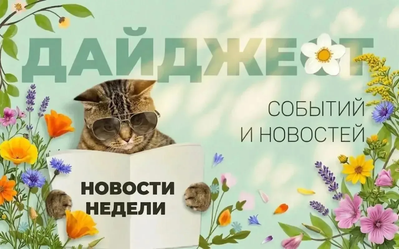 Здравствуйте, дорогие партнеры!