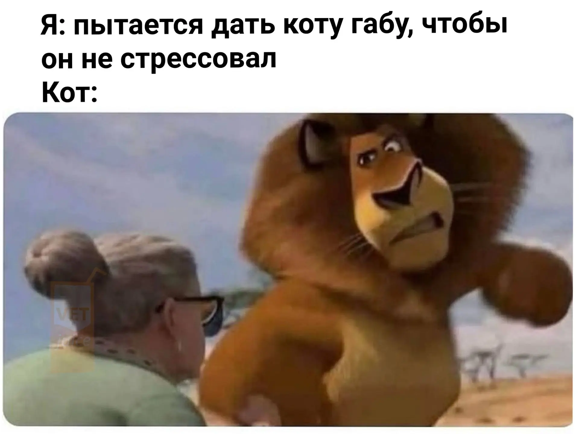 #vetjuice