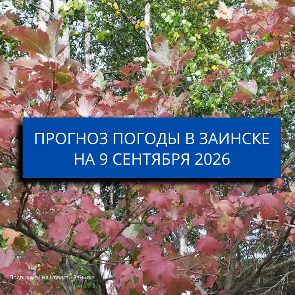 В Заинске 9 сентября ожидаются дожди и порывы ветра до 20 м/с