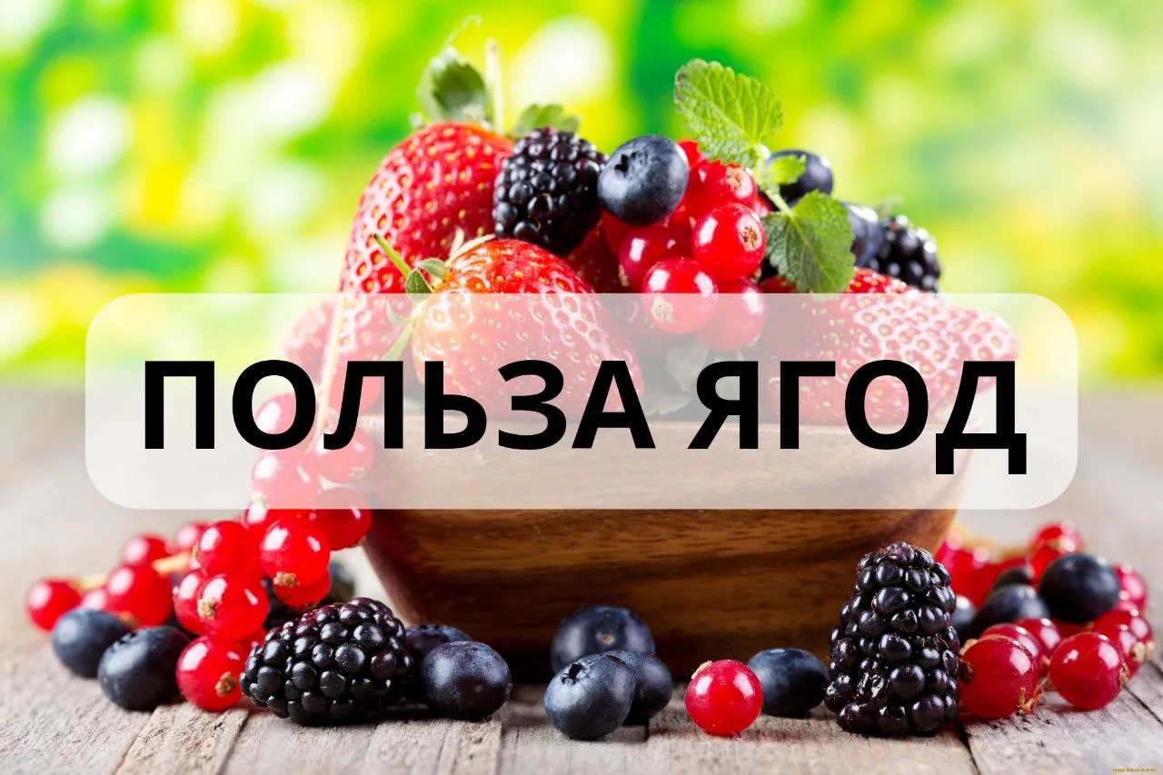 Три ягоды, которые спасут иммунитет ребёнка

🍁Осенью все начинают пить витамины. А летом самое врем