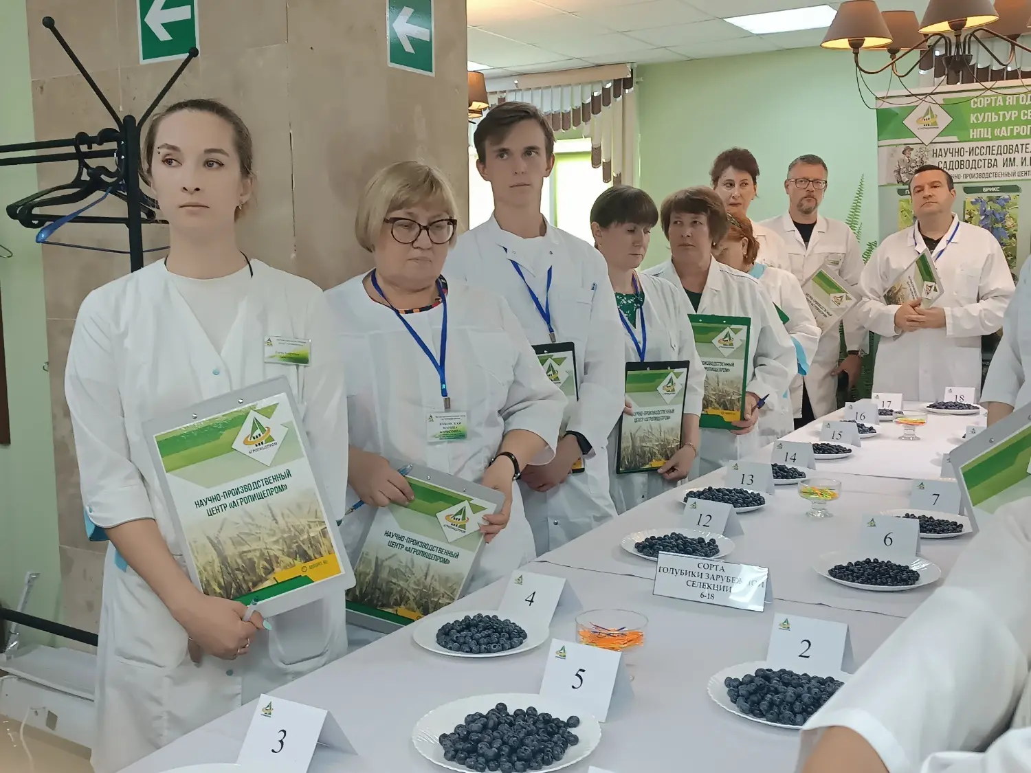 ✅В Тамбовской области учёные вывели новые гибридные формы голубики