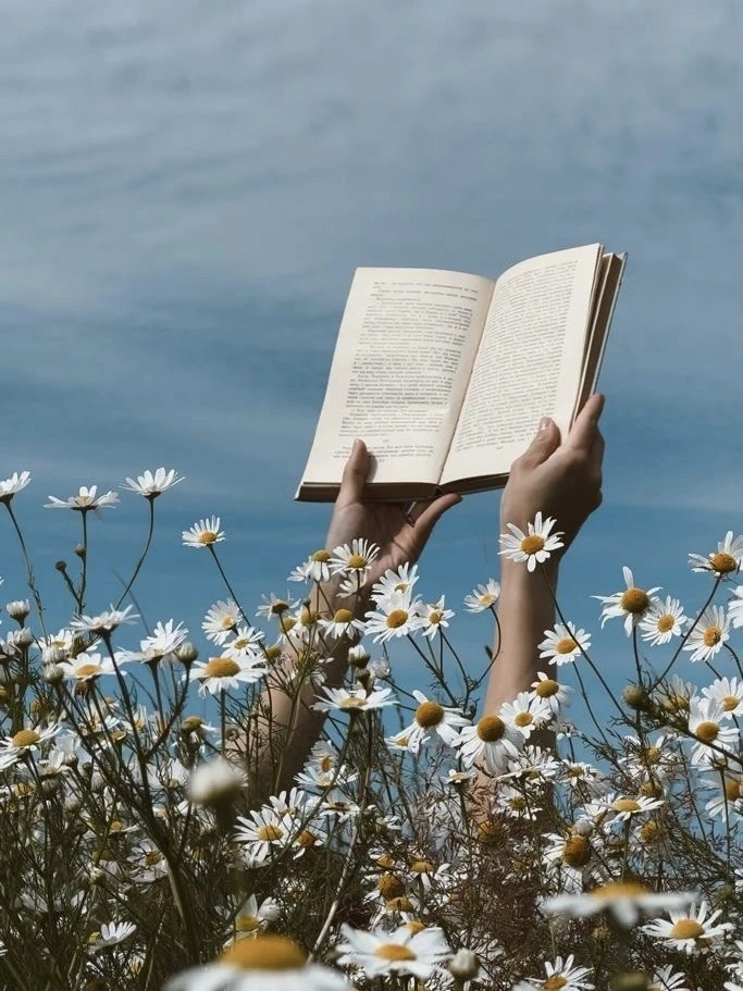 Книжная суббота 

Когда такое щедрое жаркое солнышко, и лазурное небо, и птицы щебечут, и всюду роск