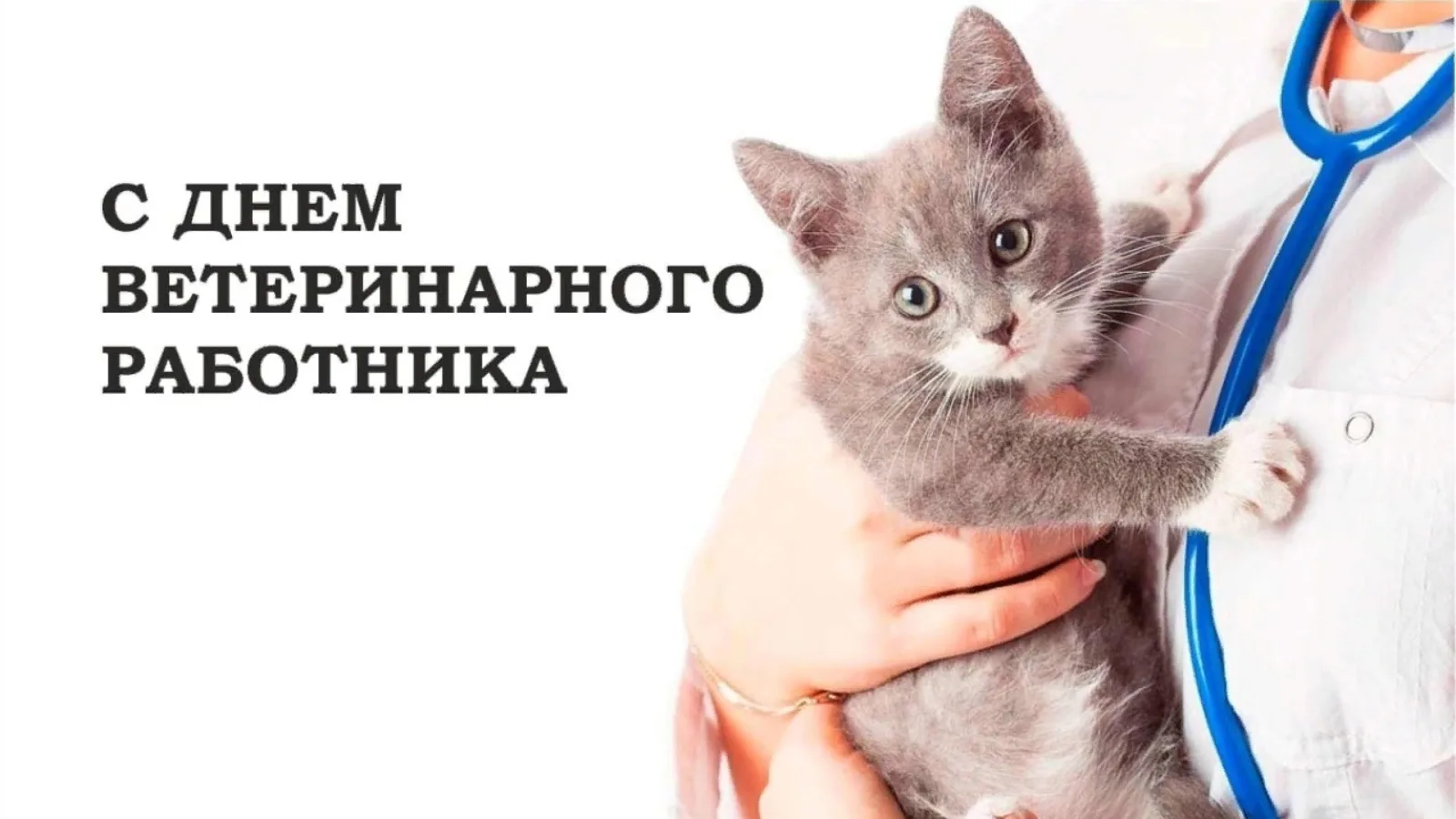 ✨Уважаемые коллеги ОГУ «Екатериновская районная СББЖ, примите самые искренние поздравле...