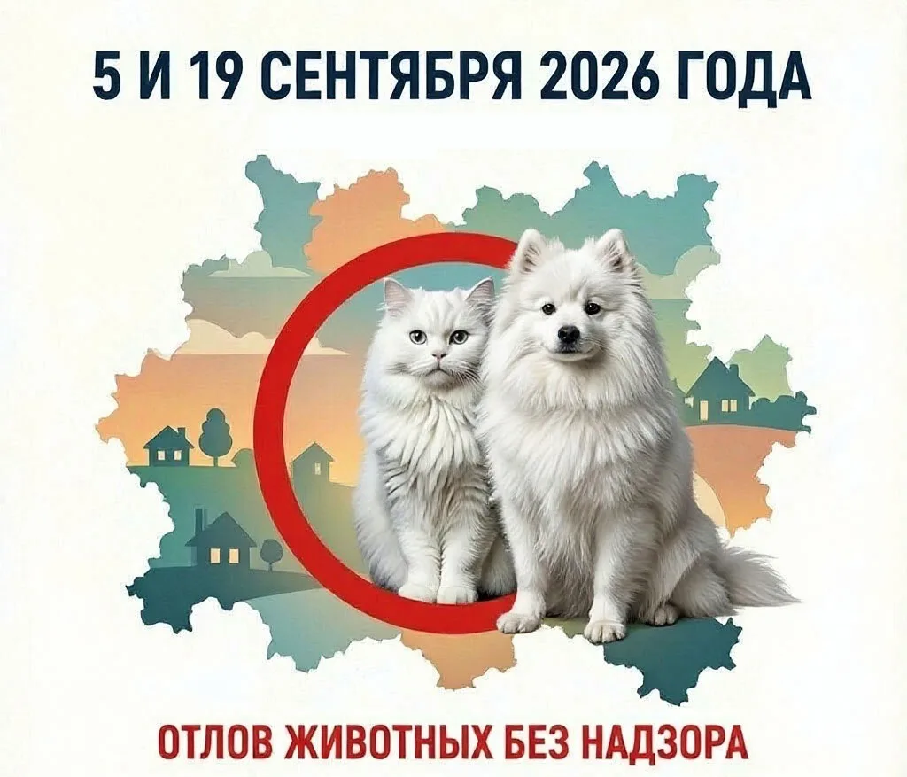 5 и 19 сентября 2026 года на территории Киришского муниципального района специалистами ...
