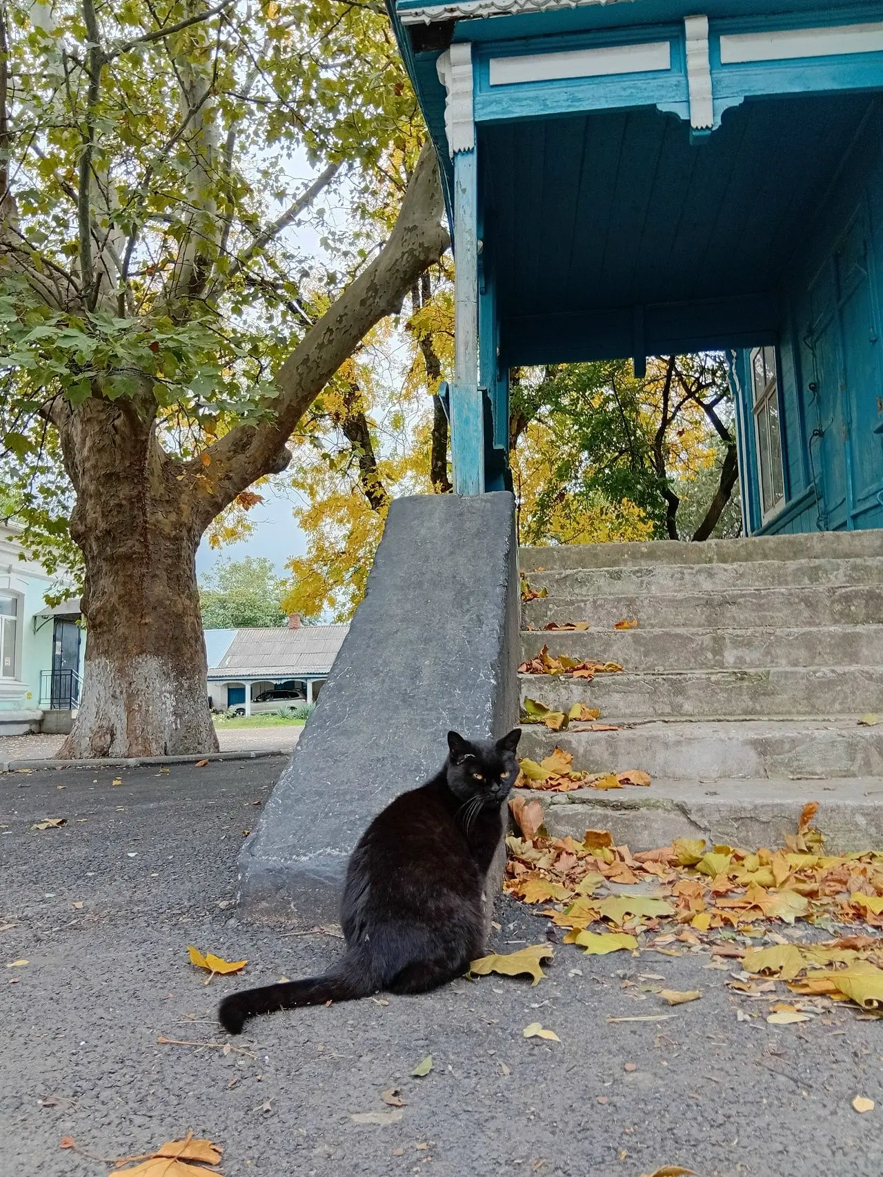 🍂 Доброе утро, Новокубанский район!