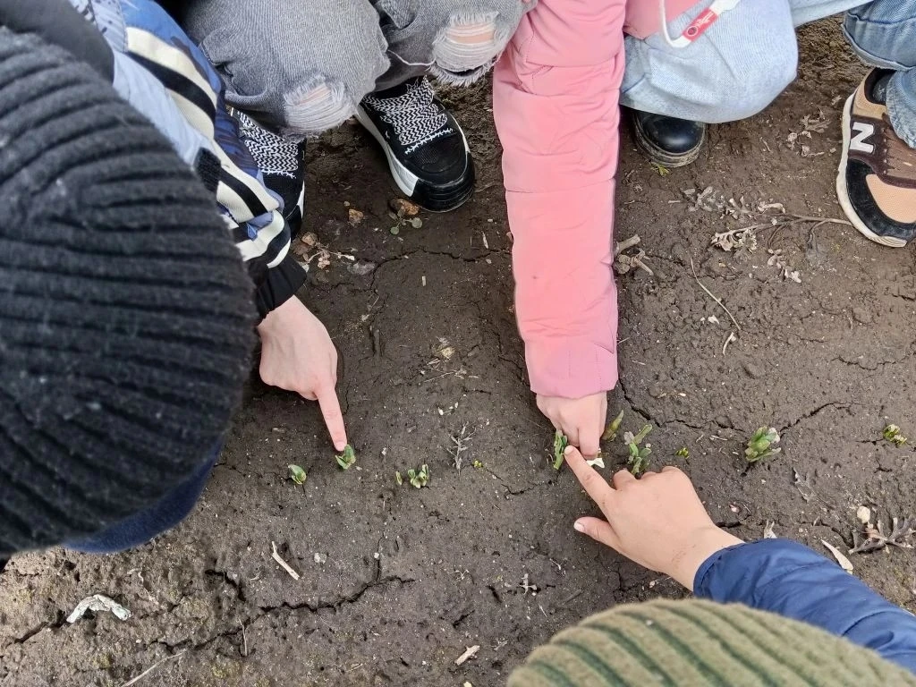 На весенних каникулах 4В отправился на прогулку в парк! Было очень весело и интересно. Ребята с вост
