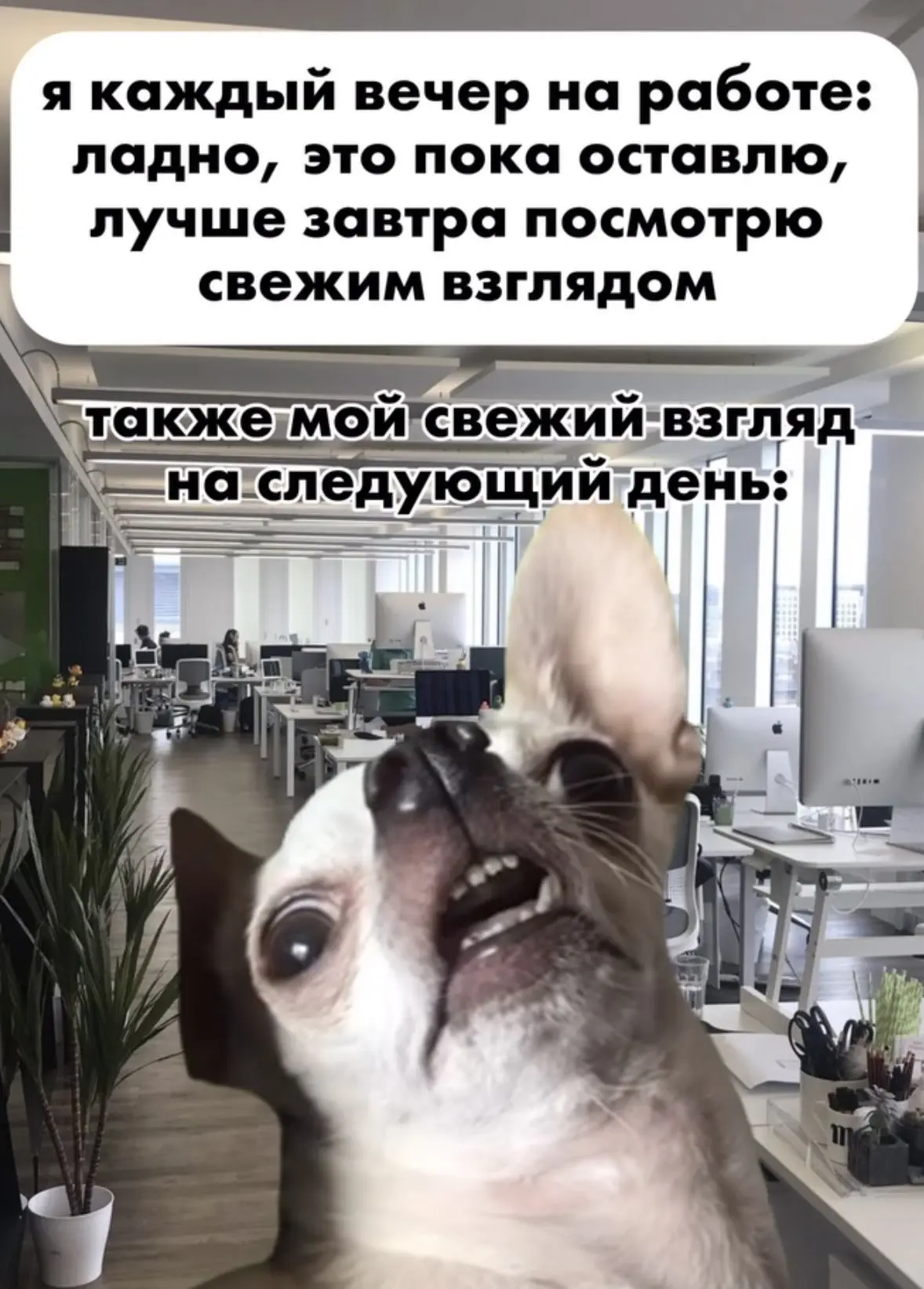 Мем дня 😀