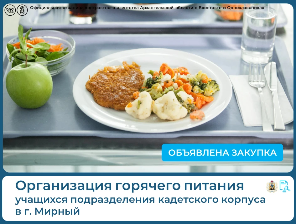 💡Опубликован конкурс на оказание услуг по организации горячего питания для подразделен...