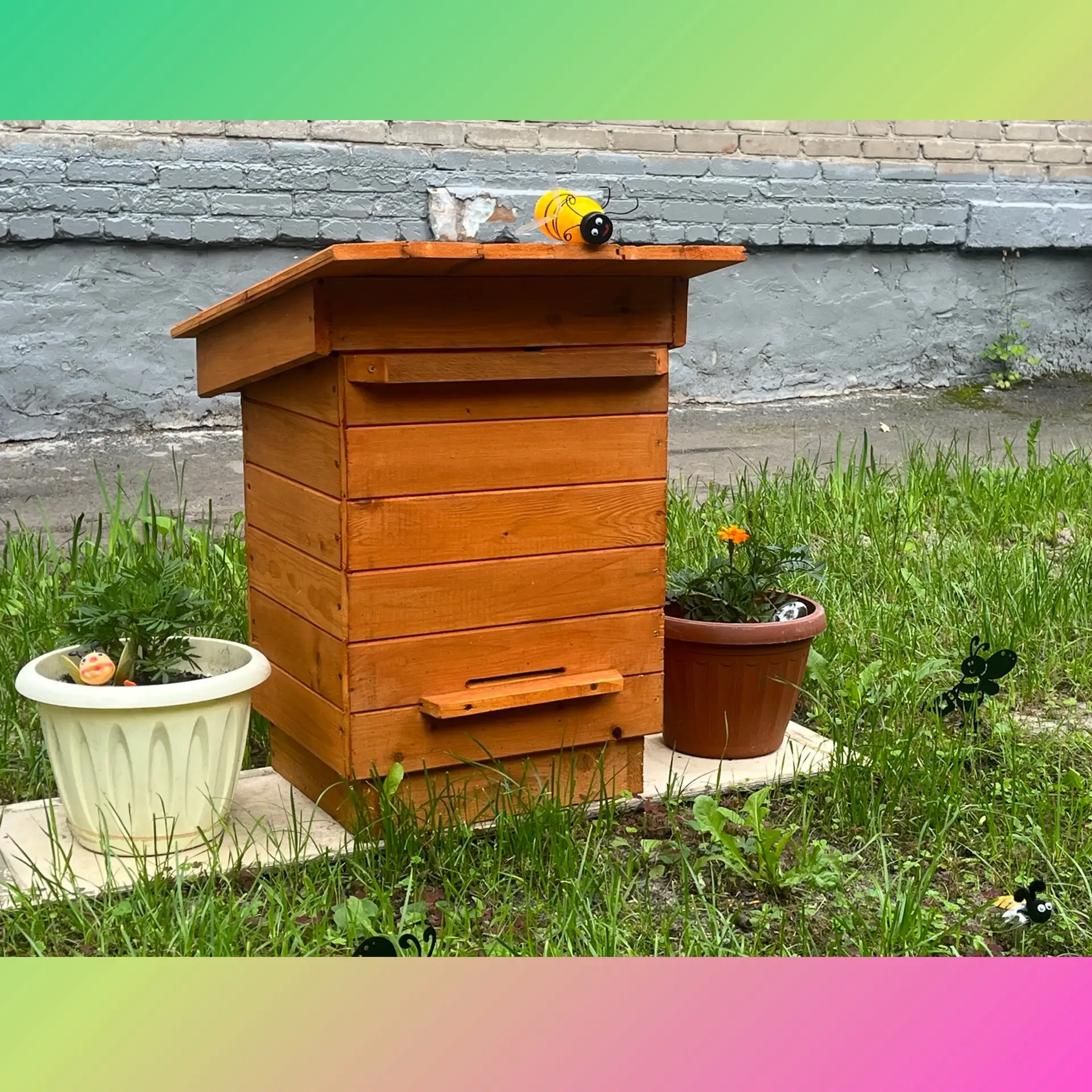 В нашем детском саду появилась экологическая тропа!🌳