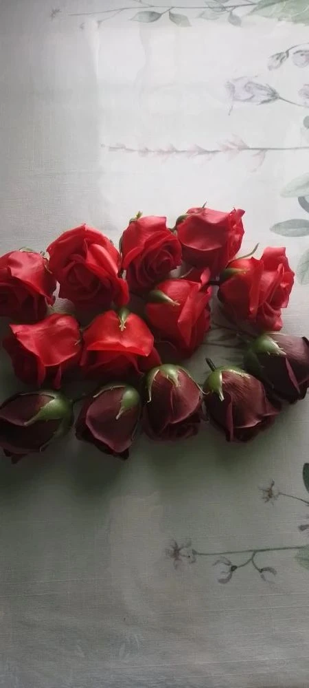 Розы из мыла
Бутоны 13шт
Продам за 300 руб
Звоните по тел. +79181678486.
г. Апшеронск


"Барахолка" 