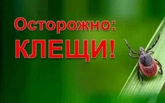 Весна, тёплая погода, природа, но про осторожность забывать не стоит.